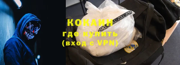 СК Новозыбков