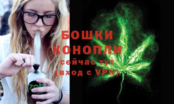 СК Новозыбков