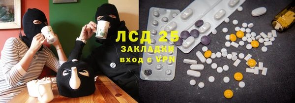 СК Новозыбков