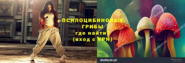 СК Новозыбков