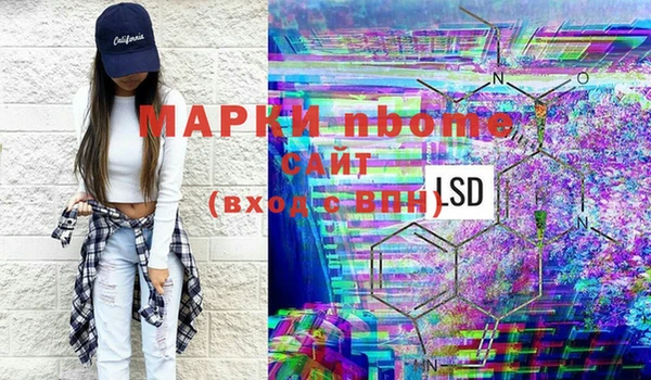 СК Новозыбков