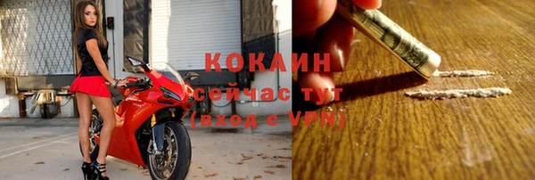 СК Новозыбков