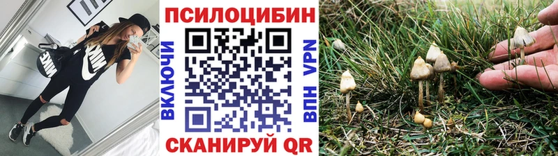 МЕГА ТОР  купить закладку  Россошь  Псилоцибиновые грибы Psilocybe 